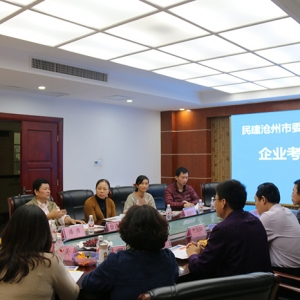 滄州民建考察團(tuán)、南寧市民建調(diào)研組——行來我集團(tuán)參觀考察 ... ...