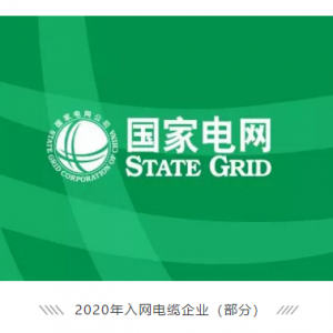 祝賀縱覽線纜集團(tuán)成功進(jìn)入國家電網(wǎng)供應(yīng)商名錄，成為廣西唯一一家進(jìn)入國網(wǎng)的電線電纜供 ...