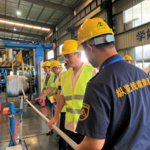 粵桂兩省區(qū)統(tǒng)戰(zhàn)部、工商聯(lián)領(lǐng)導(dǎo)蒞臨縱覽集團檢查指導(dǎo)工作