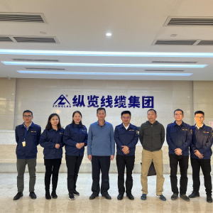 電力興桂 南網(wǎng)情深——廣西電力行業(yè)協(xié)會考察組一行到縱覽線纜集團(tuán)考察交流 ...