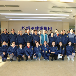 追求卓越 持續(xù)改進(jìn) ——縱覽集團(tuán)公司2021年質(zhì)量管理體系修訂升級工作圓滿結(jié)束 ...