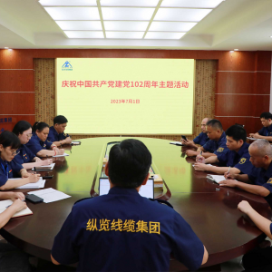 縱覽線纜集團(tuán)黨支部召開黨員大會(huì) ——慶祝中國共產(chǎn)黨成立102周年